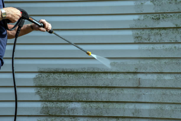 Best Roof Washing  in Green Cove Springs, FL