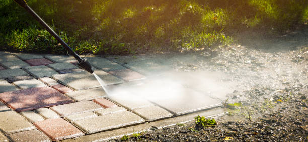 Best Fence Cleaning  in Green Cove Springs, FL